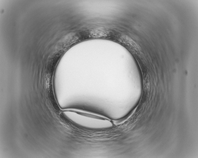 X0000086990315200705141747