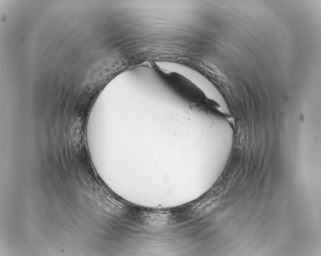 X0000086990318200705141747