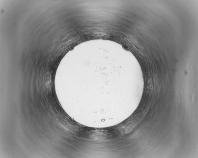 X0000086990320200705141747