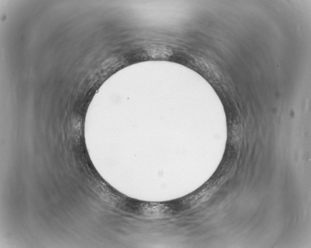 X0000086990321200705141747