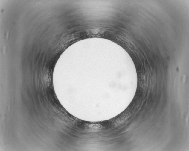 X0000086990324200705141747