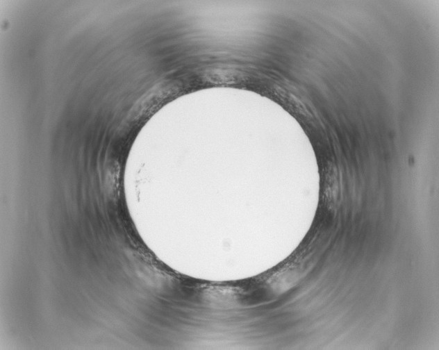 X0000086990332200705141747