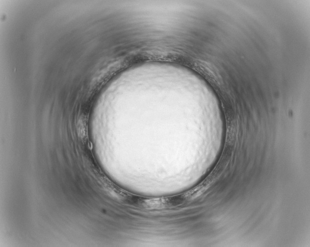 X0000086990335200705141747