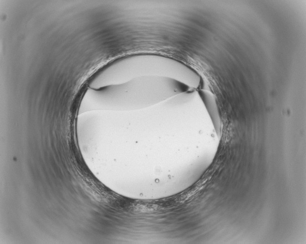 X0000086990346200705141746
