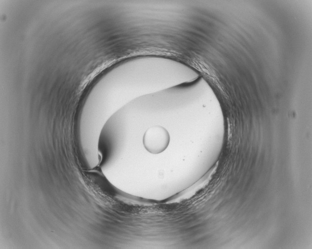X0000086990348200705141746