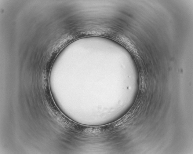 X0000086990354200705141746