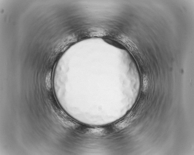 X0000086990364200705141747