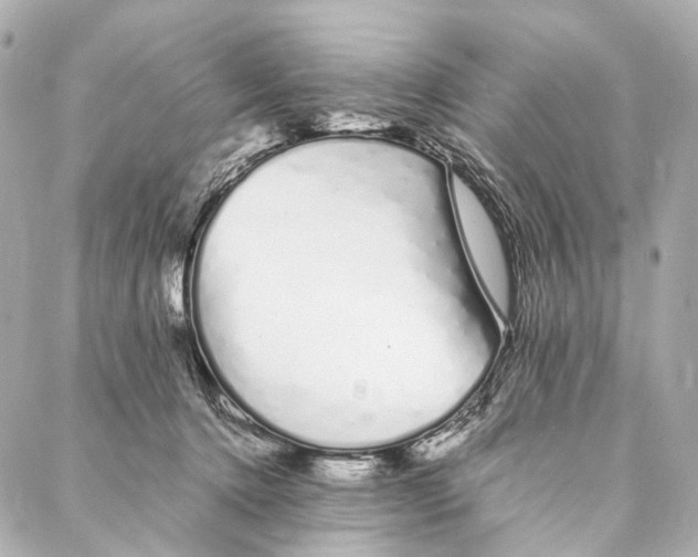 X0000086990368200705141747