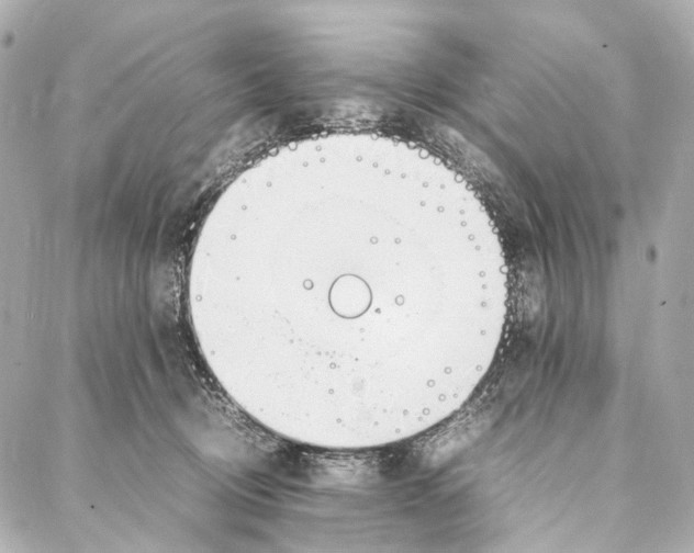 X0000086990370200705141747