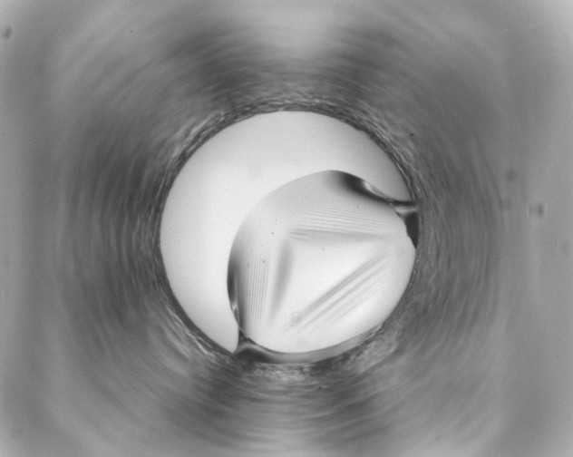 X0000086990384200705141747