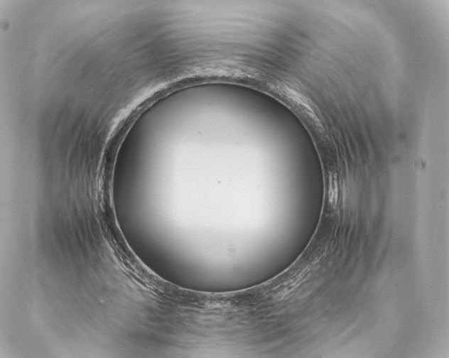 X0000086990388200705141746