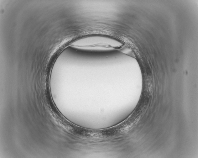 X0000086990395200705141746