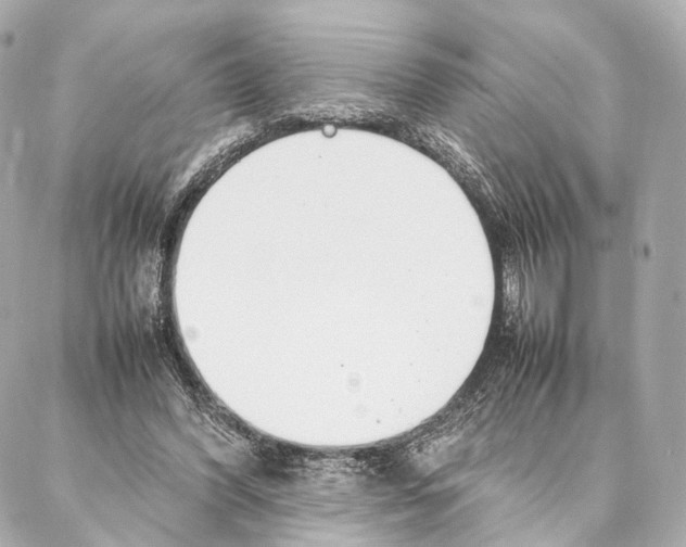 X0000086990396200705141746