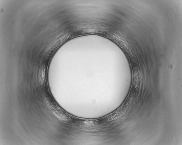 X0000086990406200705141746