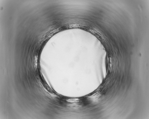 X0000086990410200705141746