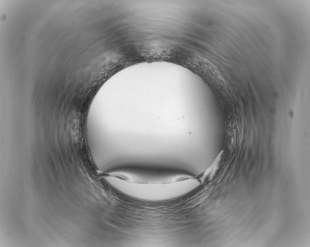 X0000086990416200705141746
