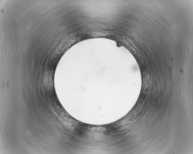 X0000086990426200705141746