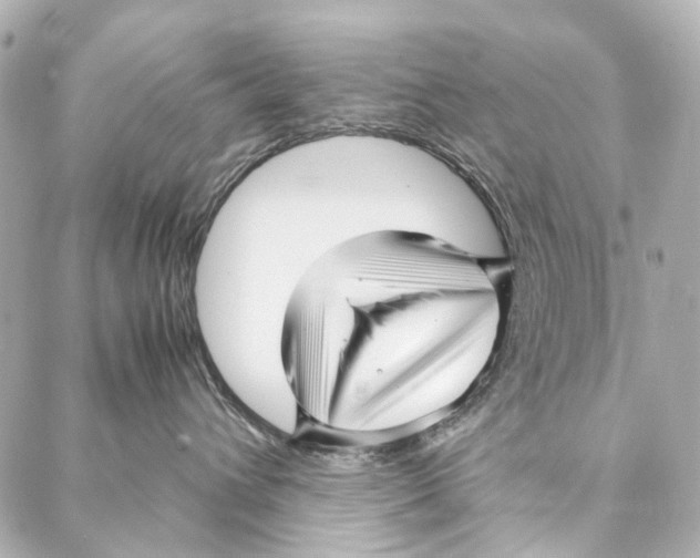 X0000086990432200705141745