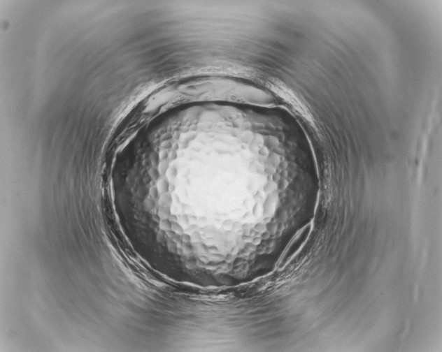 X0000086990436200705141745