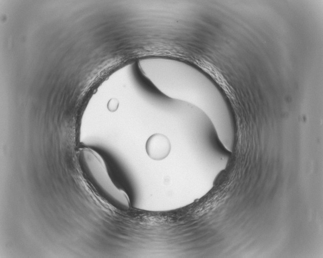 X0000086990442200705141745
