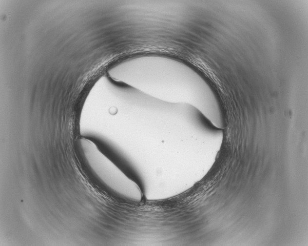 X0000086990444200705141745