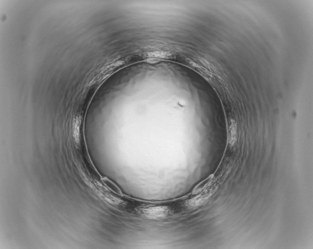 X0000086990456200705141745