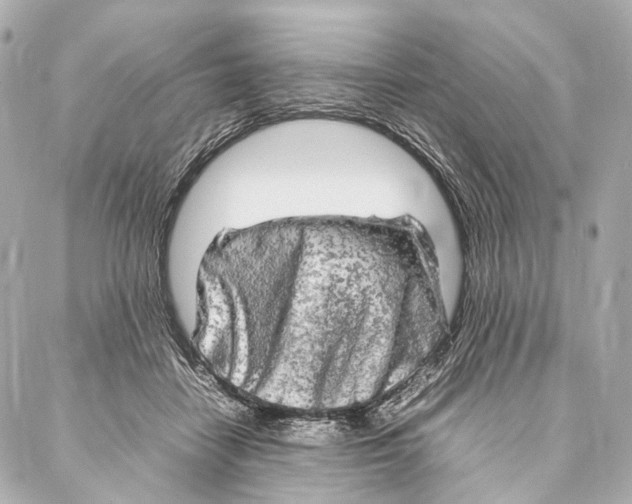 X0000086990458200705141745