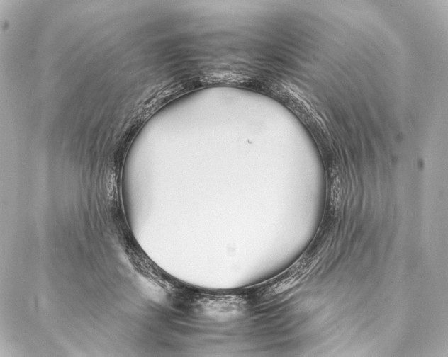 X0000086990459200705141745