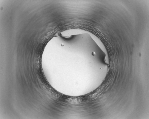 X0000086990464200705141745
