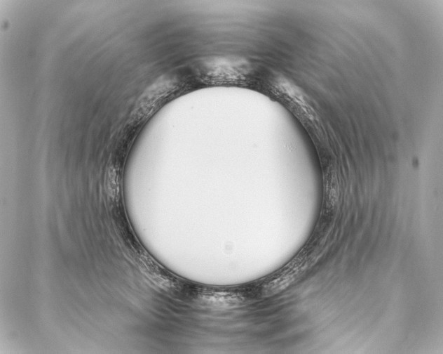 X0000086990467200705141745