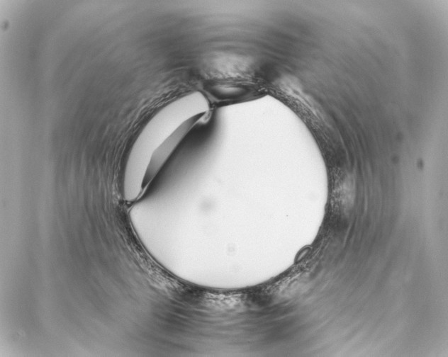 X0000086990469200705141745