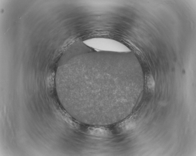 X0000086990475200705141745