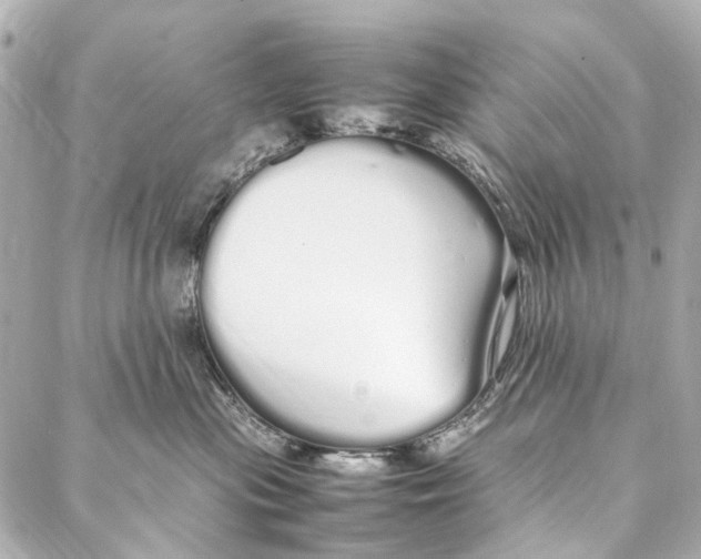 X0000086990477200705141745