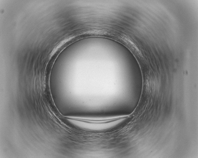 X0000086990484200705141745