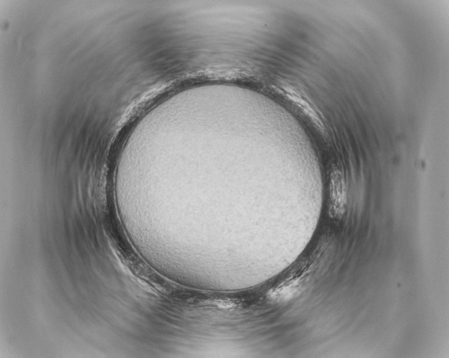 X0000086990492200705141744