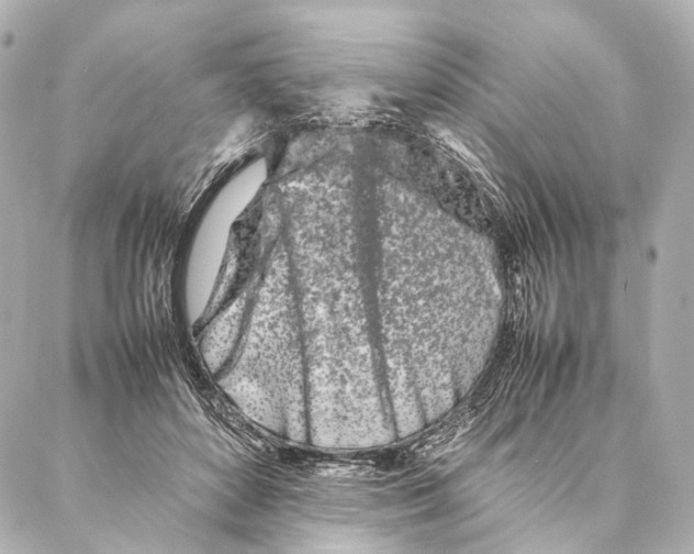 X0000086990504200705141744