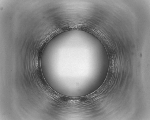 X0000086990508200705141744