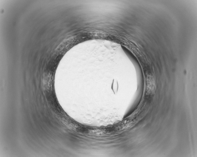 X0000086990511200705141744