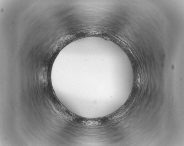 X0000086990512200705141744