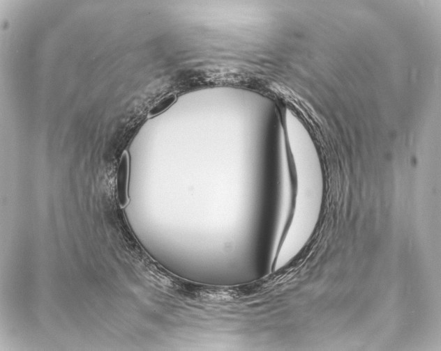 X0000086990513200705141744