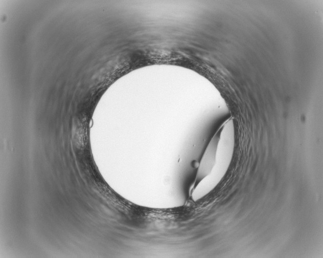 X0000086990515200705141744
