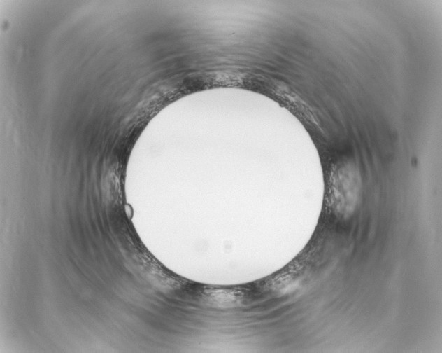 X0000086990522200705141744