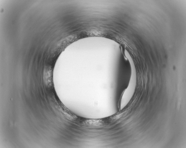 X0000086990526200705141744
