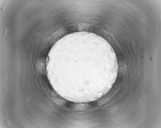 X0000086990527200705141744