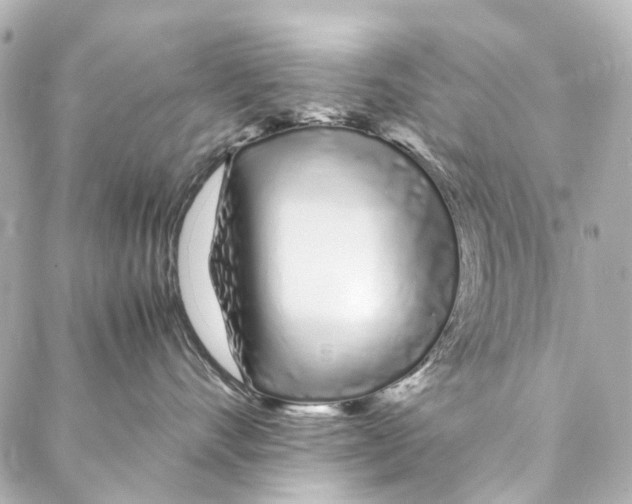 X0000086990528200705141744