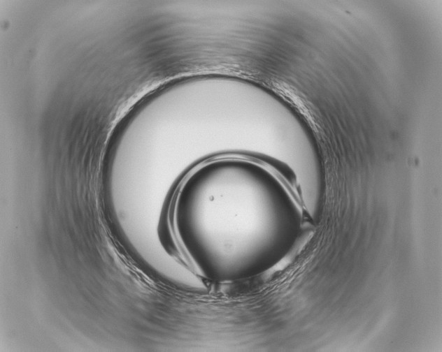 X0000086990532200705141743