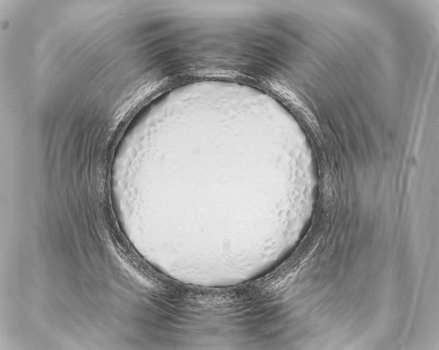 X0000086990533200705141743