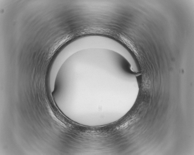 X0000086990538200705141743
