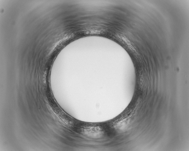 X0000086990543200705141743