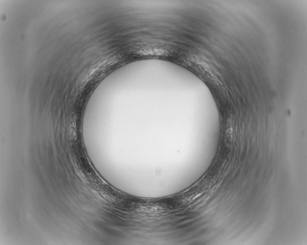 X0000086990547200705141743